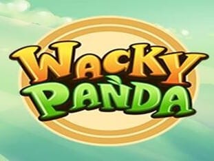 Wacky Panda screenshot