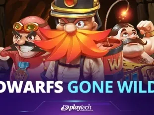 Dwarfs Gone Wild screenshot